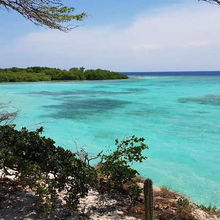 Palmhouse Apartments Aruba 1- 4 Persons Savaneta Ngoại thất bức ảnh