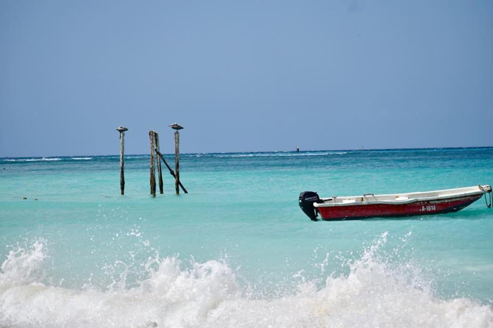 Palmhouse Apartments Aruba 1- 4 Persons Savaneta Ngoại thất bức ảnh