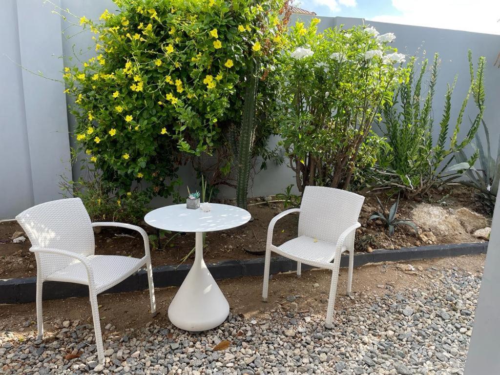 Palmhouse Apartments Aruba 1- 4 Persons Savaneta Ngoại thất bức ảnh