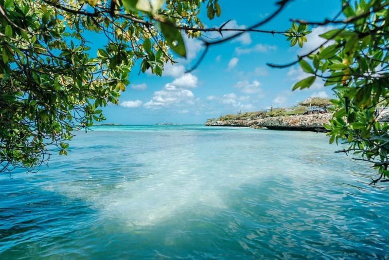 Palmhouse Apartments Aruba 1- 4 Persons Savaneta Ngoại thất bức ảnh