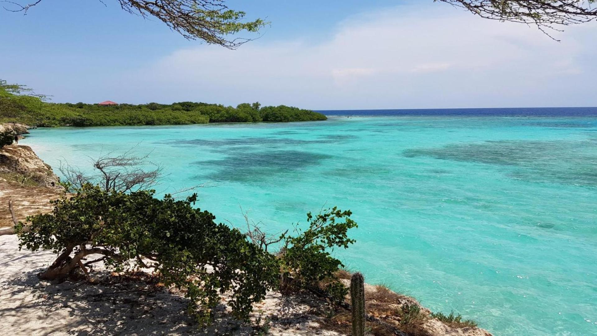 Palmhouse Apartments Aruba 1- 4 Persons Savaneta Ngoại thất bức ảnh