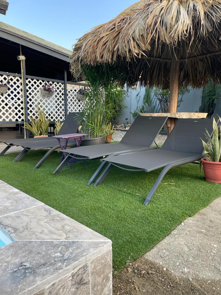 Palmhouse Apartments Aruba 1- 4 Persons Savaneta Ngoại thất bức ảnh