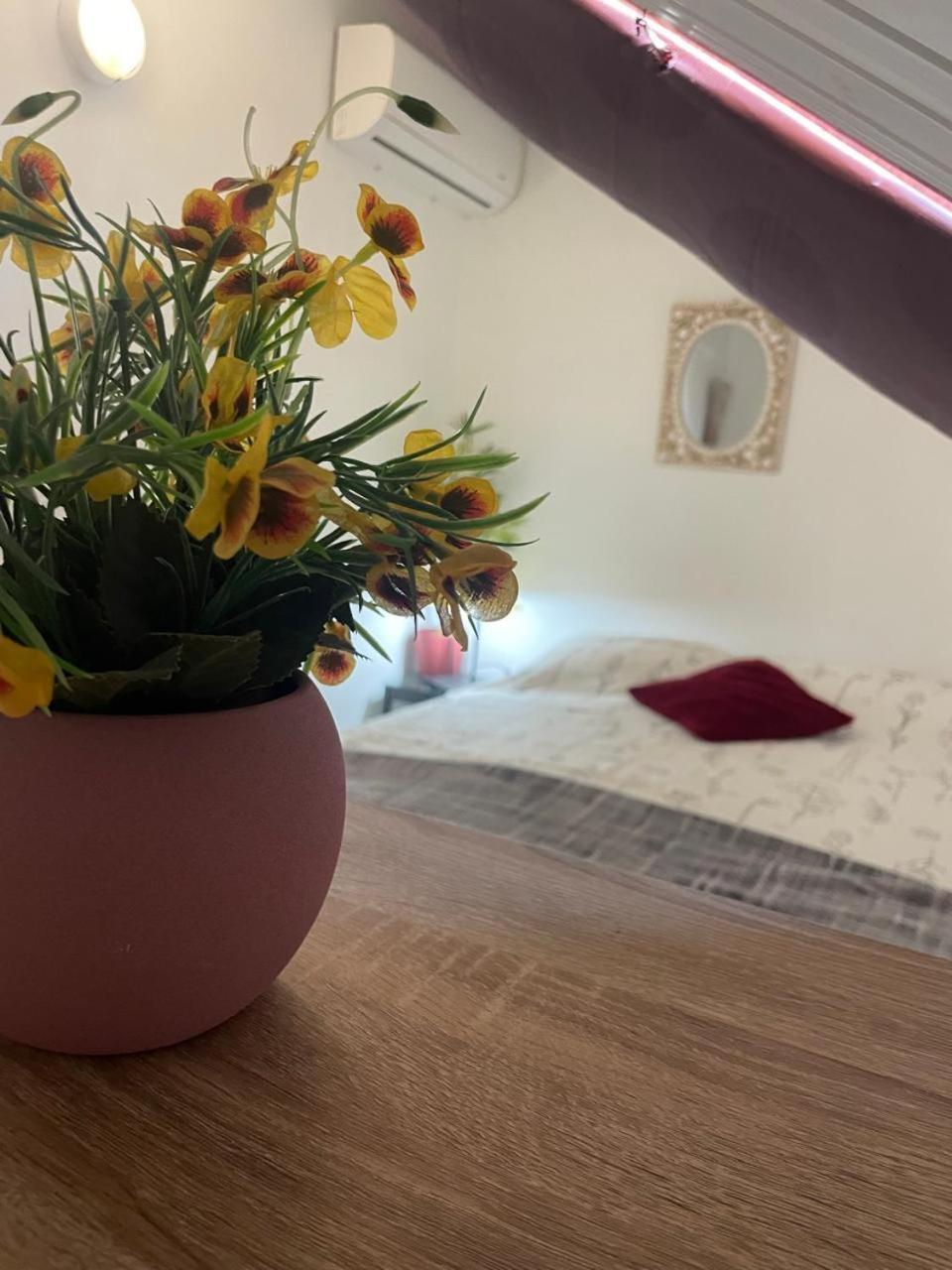 Palmhouse Apartments Aruba 1- 4 Persons Savaneta Ngoại thất bức ảnh