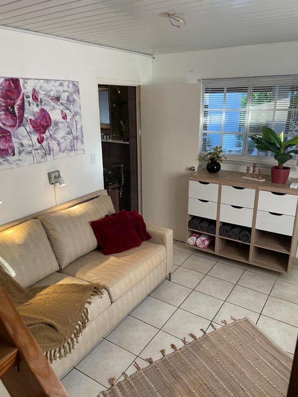 Palmhouse Apartments Aruba 1- 4 Persons Savaneta Ngoại thất bức ảnh