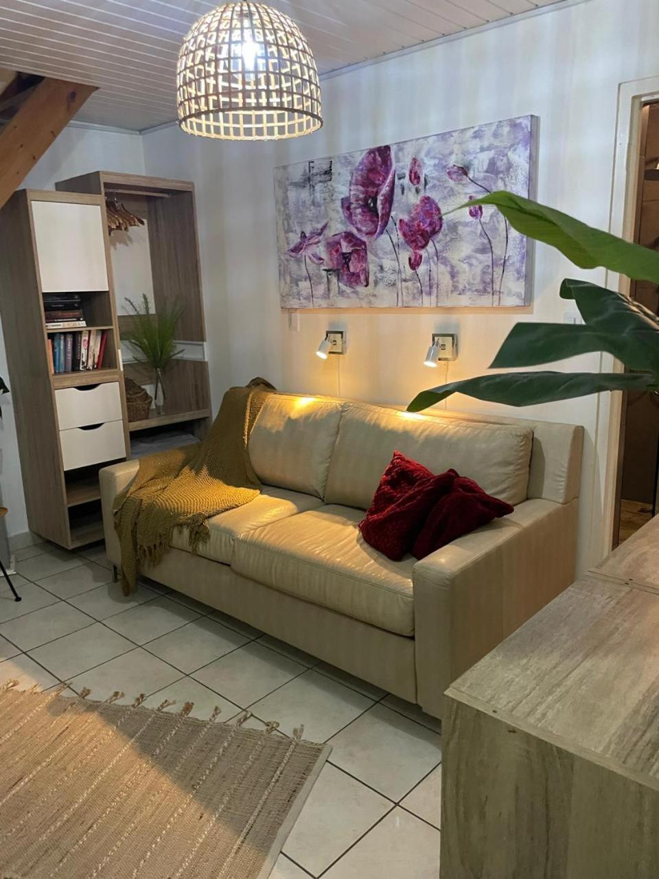 Palmhouse Apartments Aruba 1- 4 Persons Savaneta Ngoại thất bức ảnh