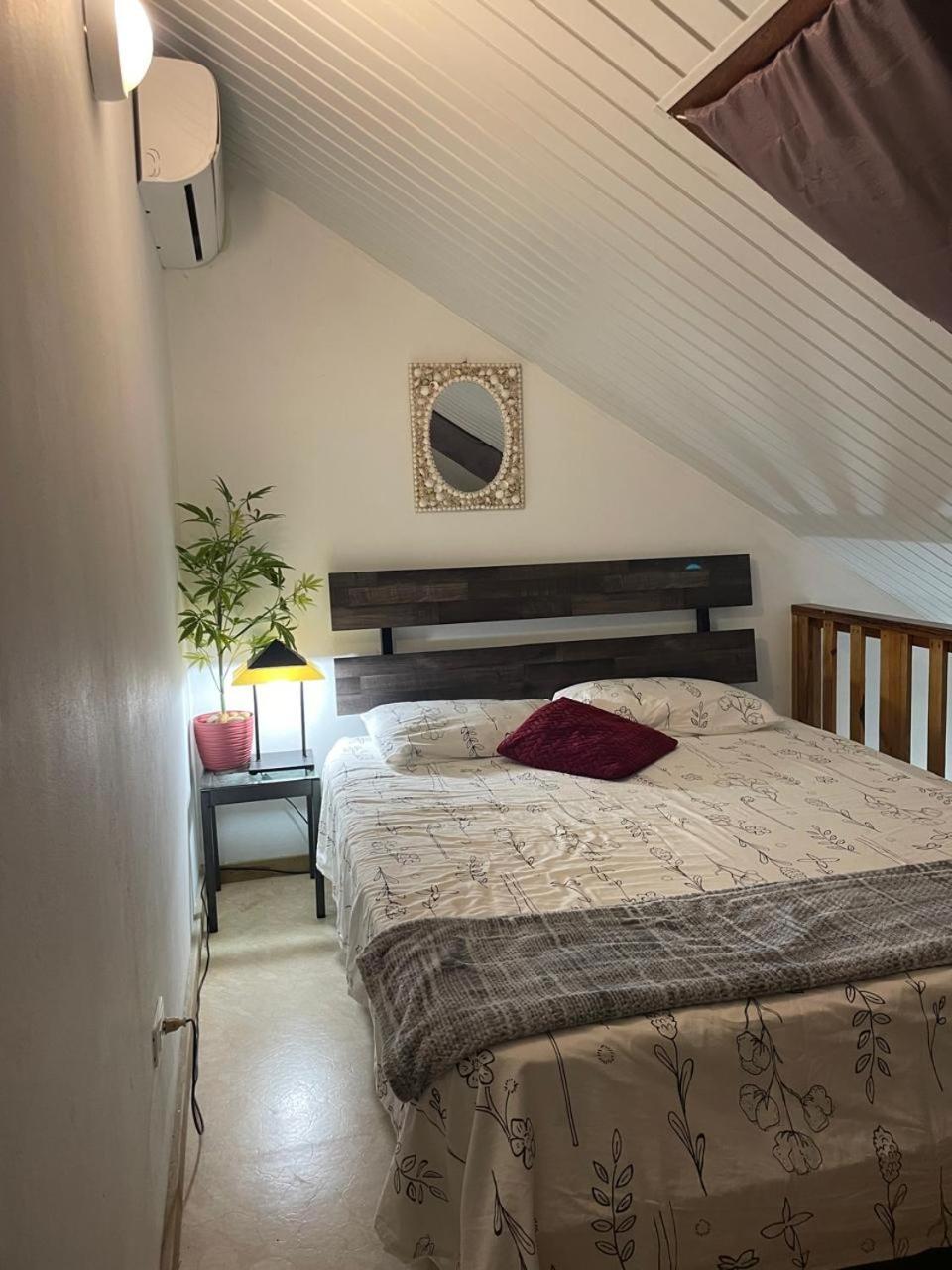 Palmhouse Apartments Aruba 1- 4 Persons Savaneta Ngoại thất bức ảnh