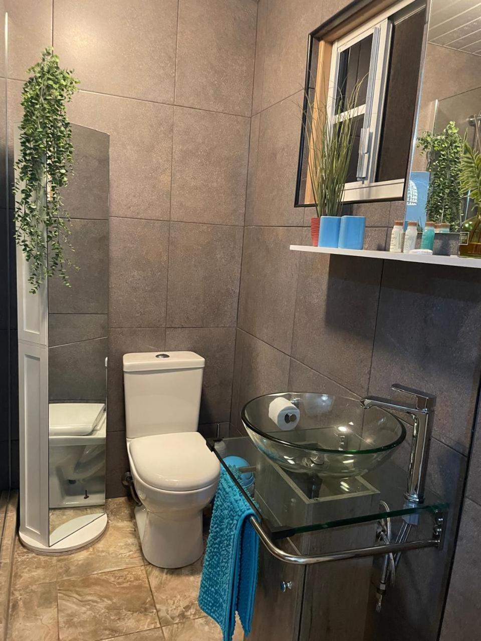 Palmhouse Apartments Aruba 1- 4 Persons Savaneta Ngoại thất bức ảnh