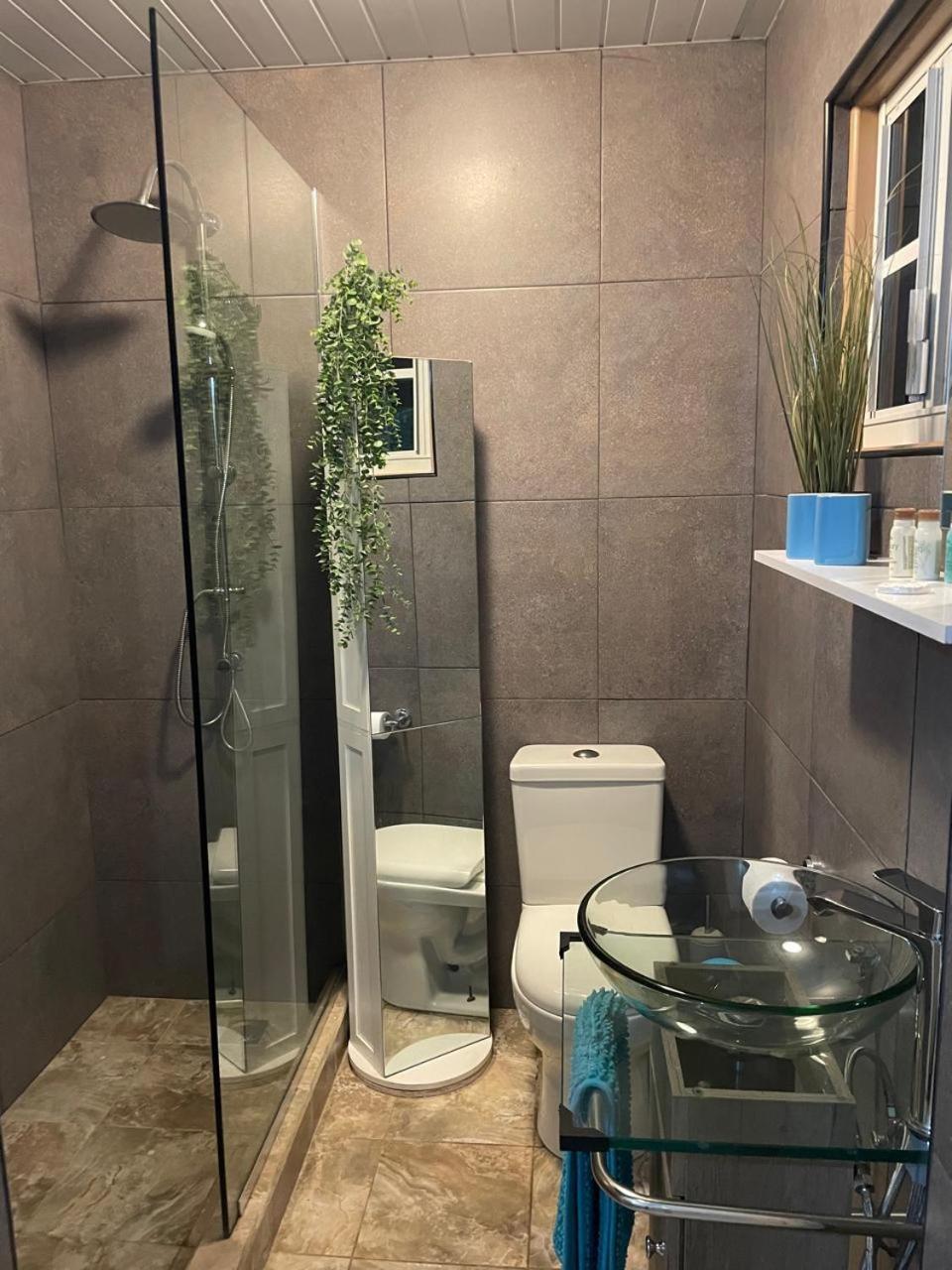 Palmhouse Apartments Aruba 1- 4 Persons Savaneta Ngoại thất bức ảnh
